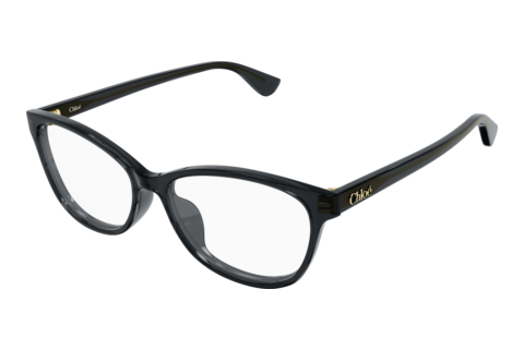 Brille Chloé CH0394OL 001