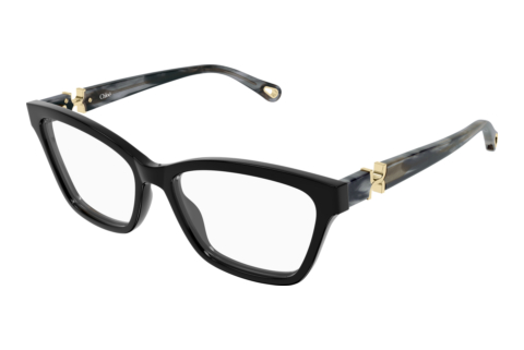 Brille Chloé CH0412O 006