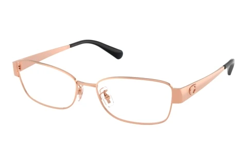Brille Coach HC5201 9407