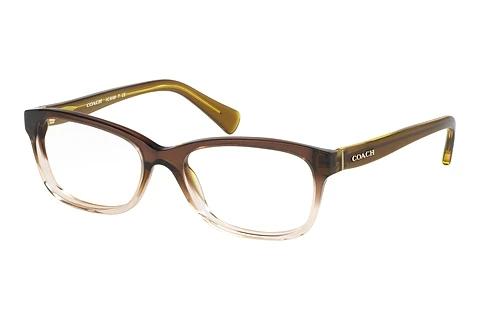 Brille Coach HC6089 5400