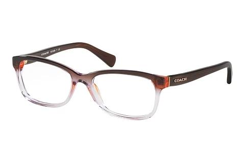 Brille Coach HC6089 5401