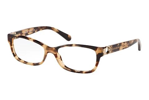 Brille Coach HC6119 5576