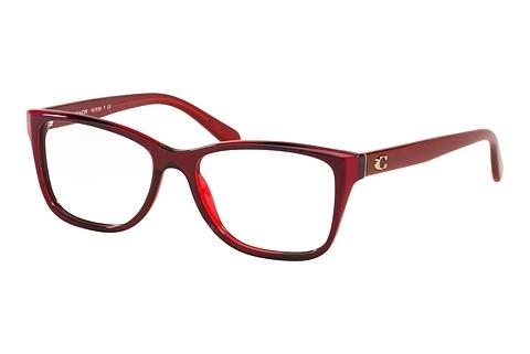 Brille Coach HC6129 5532
