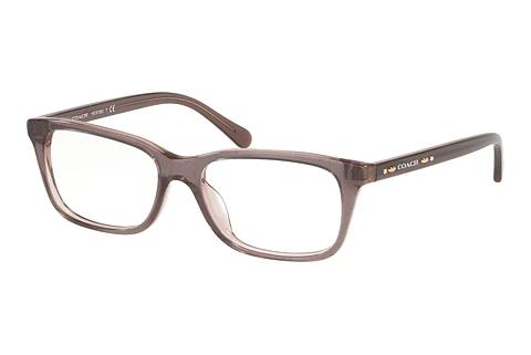 Brille Coach HC6136U 5447