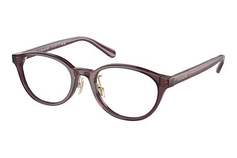 Brille Coach HC6152D 5677