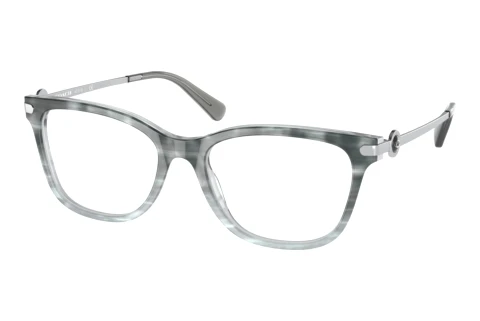 Brille Coach HC6176 5651