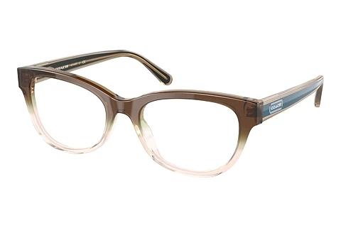 Brille Coach HC6187 5678