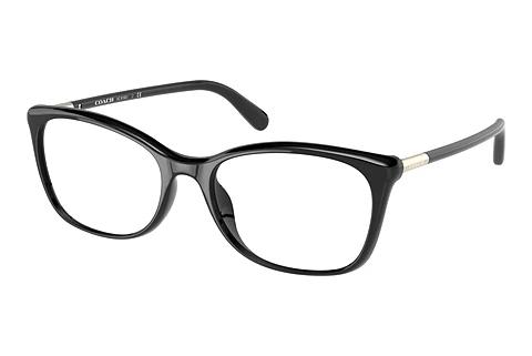 Brille Coach HC6192U 5002