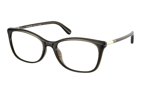 Brille Coach HC6192U 5400