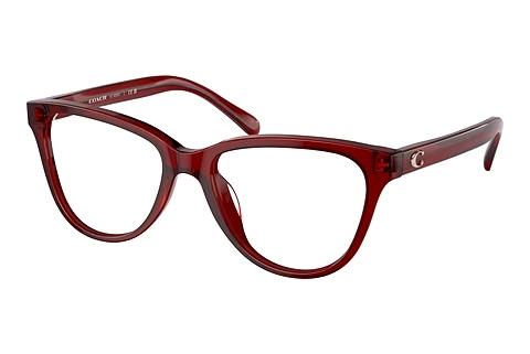 Brille Coach HC6202U 5713