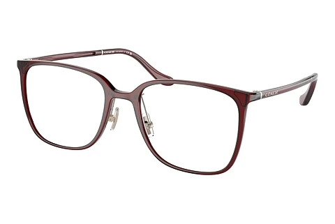 Brille Coach HC6203D 5721