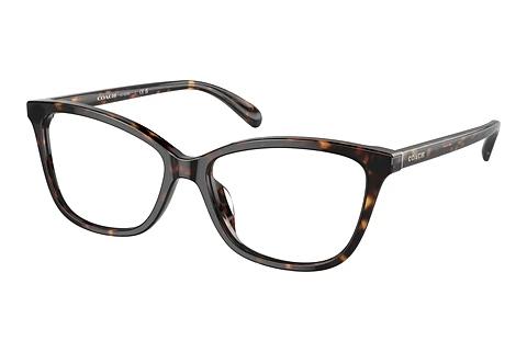 Brille Coach HC6206U 5120