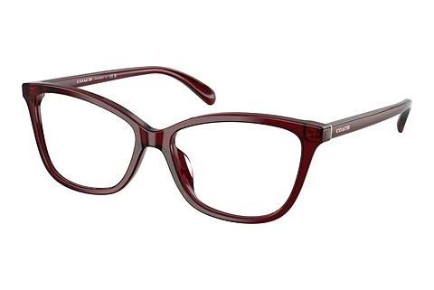 Brille Coach HC6206U 5393