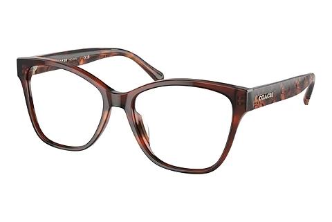 Brille Coach HC6207U 5741