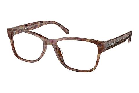 Brille Coach HC6208U 5739