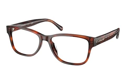 Brille Coach HC6208U 5741