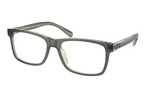 Brille Coach HC6213U 5746