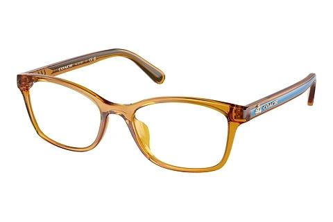 Brille Coach HC6216U 5748
