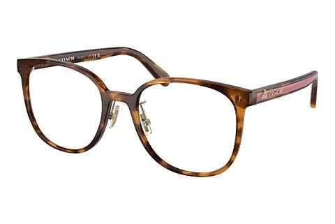 Brille Coach HC6217 5120