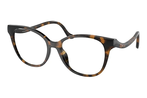 Brille Coach HC6218U 5120