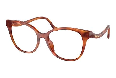 Brille Coach HC6218U 5774