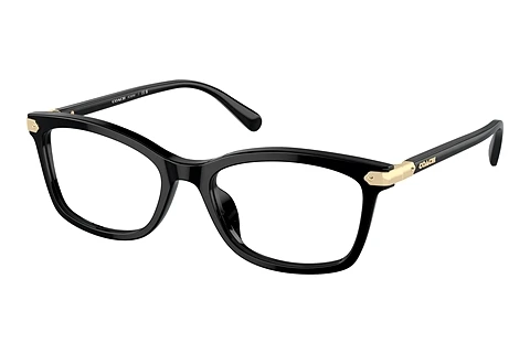 Brille Coach HC6219U 5002