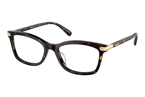 Brille Coach HC6219U 5120