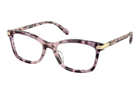 Brille Coach HC6219U 5777