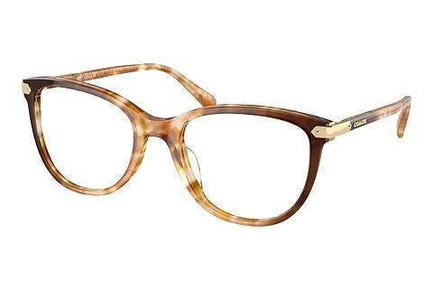 Brille Coach HC6220U 5775