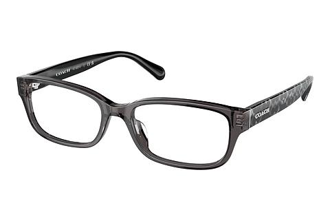 Brille Coach HC6221U 5785