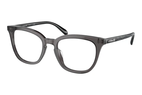 Brille Coach HC6222U 5785