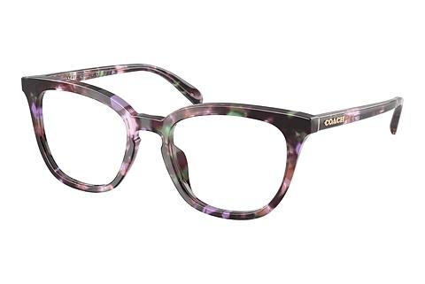 Brille Coach HC6222U 5843