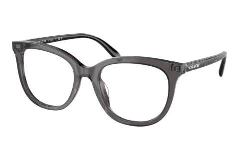 Brille Coach HC6223U 5785