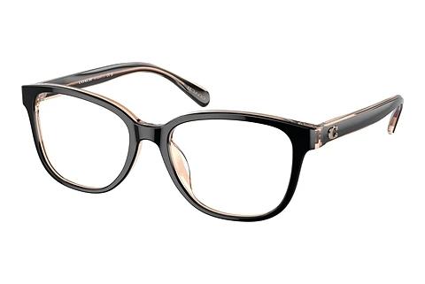 Brille Coach HC6224U 5781