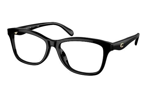 Brille Coach HC6231U 5002
