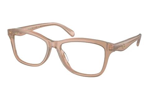 Brille Coach HC6231U 5808