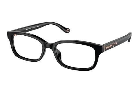 Brille Coach HC6233U 5002