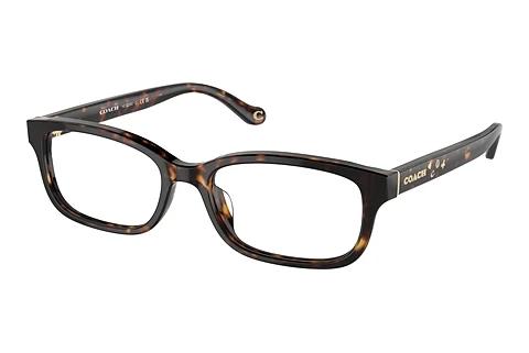 Brille Coach HC6233U 5120