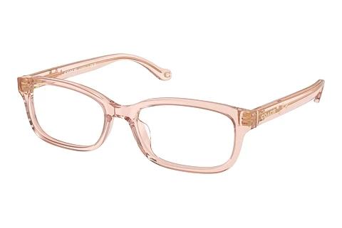 Brille Coach HC6233U 5668