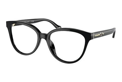 Brille Coach HC6234U 5002