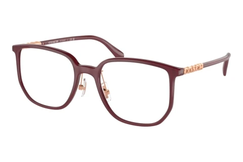 Brille Coach HC6240D 5479