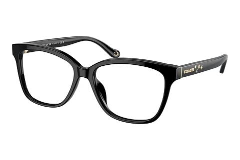 Brille Coach HC6242U 5002
