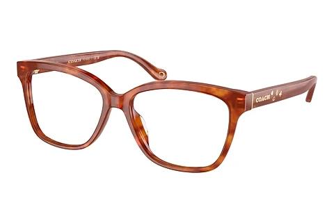Brille Coach HC6242U 5774