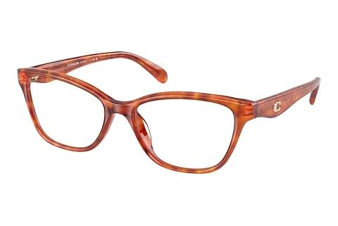 Brille Coach HC6243U 5774