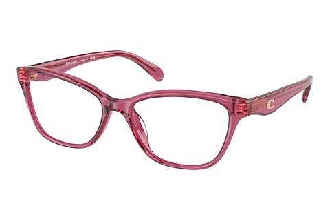 Brille Coach HC6243U 5824