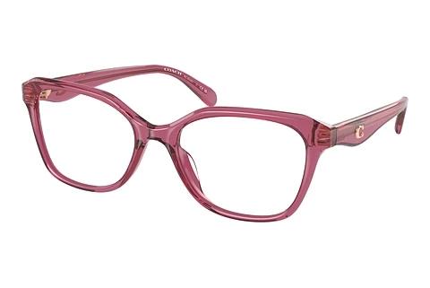 Brille Coach CY043 (HC6244U 5824)
