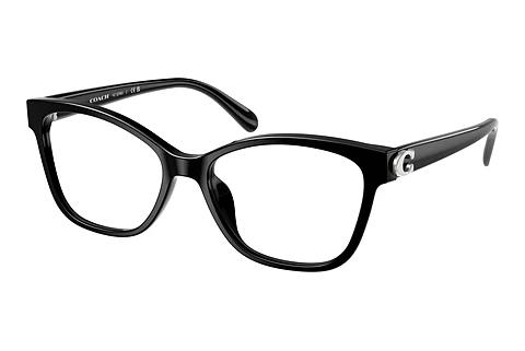 Brille Coach HC6246U 5002