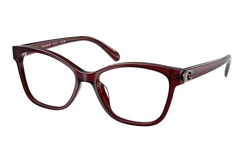 Brille Coach HC6246U 5393