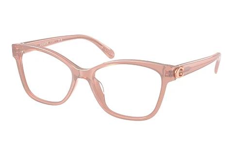 Brille Coach HC6246U 5839