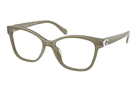 Brille Coach HC6246U 5840